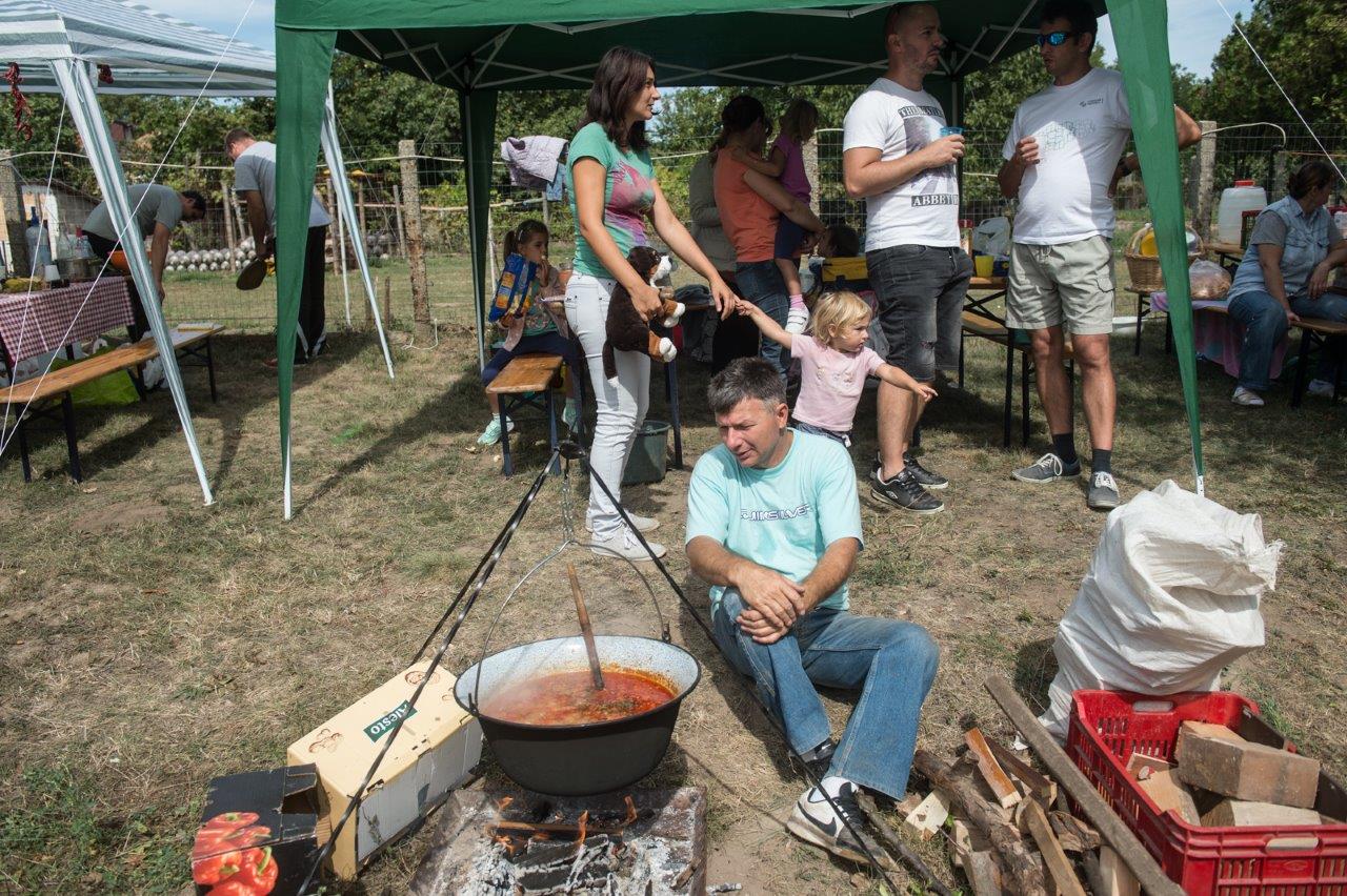 III. Kisfalud Novaj-pusztai Vigasság