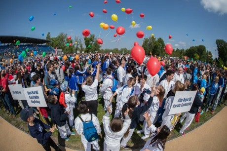 Sportmajális - idén is több ezren mozogtak a Bregyóban