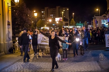 Fáklyás felvonulással hívták fel a figyelmet a bántalmazott állatokra