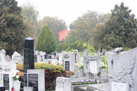 Temetői szolgáltatások Székesfehérváron mindenszentek felé közeledve