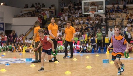 Sportolói pályaorientációs nap lesz csütörtökön az ARÉV csarnokban