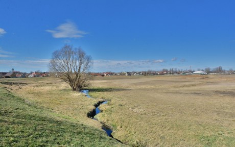 Egyedülálló növények és gazdag madárvilág a kubikgödörben