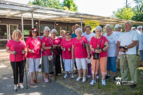 A diabétesz ellenőrzés alatt tartható - nordic walking oktatás és séta Fehérváron