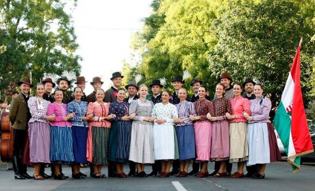 Négy év után újra a Felszállott a pávában láthatjuk az Alba Regia Táncegyüttest