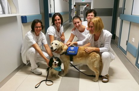A lélekgyógyító látogatók a Pata és Mancs Egyesület terápiás kutyái