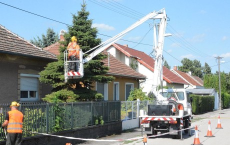 Jövő héten kezdődik a légvezetékek alatti gallyazás Fehérváron