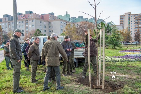 Jelképes faültetéssel kezdődött Fehérváron az Országfásítási Program