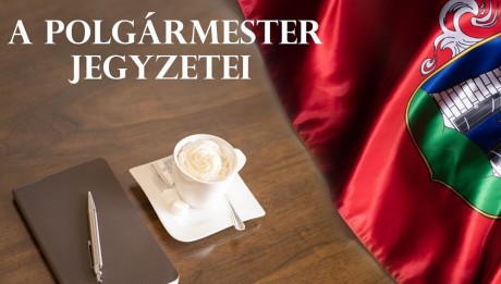 A polgármester jegyzetei - az önkormányzatiságról és a hivatásról