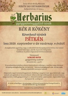 Kék a kökény - vasárnap Pátkára indul Herbarius túra