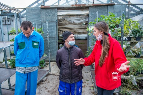 Neked munka, nekem álom - fehérvári munkáltatók fogadták a fiatalokat