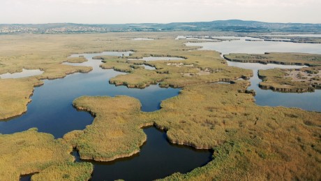 Foteltúra - kalandozás a Velencei-tavi úszólápokon