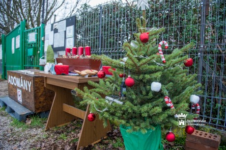 Folyamatosan gyűjti az karácsonyi adományokat a HEROSZ Fehérvári Állatotthona