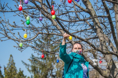 Ezernyi színes húsvéti tojás díszíti Maroshegy fáit