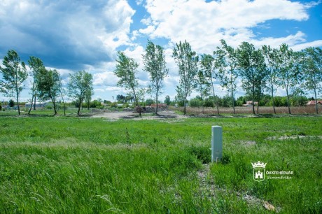 Védjük meg a maroshegyi ősmocsarat! - építészrendészeti eljárást kezdeményezett a város