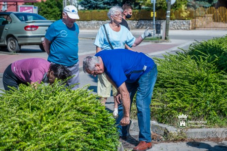 Ismét megszépítették a Nyitra ABC környékét a Nosztalgia Klub tagjai