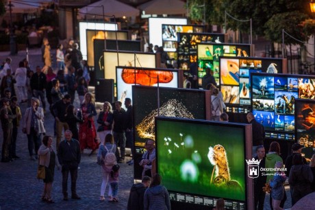 Természeti csodák Fehérvár Főterén - megnyílt a láthatatlan természetfotós, Máté Bence kiállítása