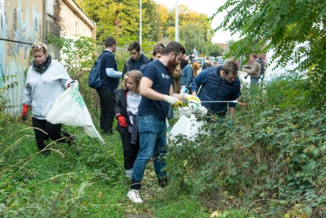 Az MCC a TeSzedd! akció keretében a Szent György kórház mögötti területet tisztította meg