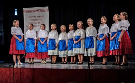 Több százan jelentkeztek a Pesovár - Versenyre Fehérvárról és a megyéből