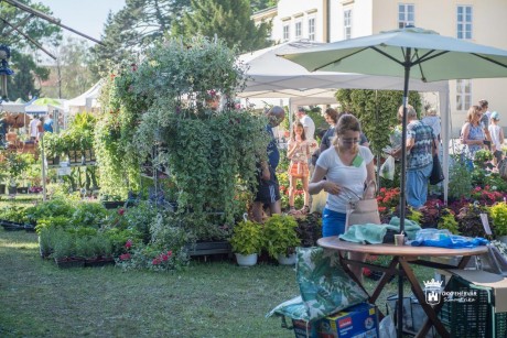 Virágba borult Pünkösdre a Fehérvárcsurgói Arborétum és Károlyi Kastélypark is