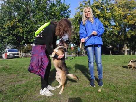 Állatok világnapja - a menhelyen élő kutyákat sétáltatták meg a rendőrök