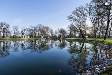 Folytatódnak a botanikai séták vasárnap a fehérvárcsurgói Károlyi Kastélyparkban