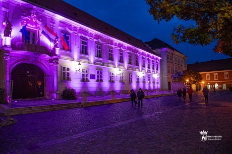 A reményt hirdeti a lila szín a koraszülöttek világnapján - a kórházban családi nap volt