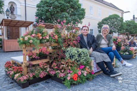 Pünkösdi Virágálom – varázslatos virágkompocíziókat láthatunk a város szívében