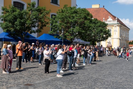 Piknik a belvárosban - családi programok várták a fehérváriakat a Városház téren