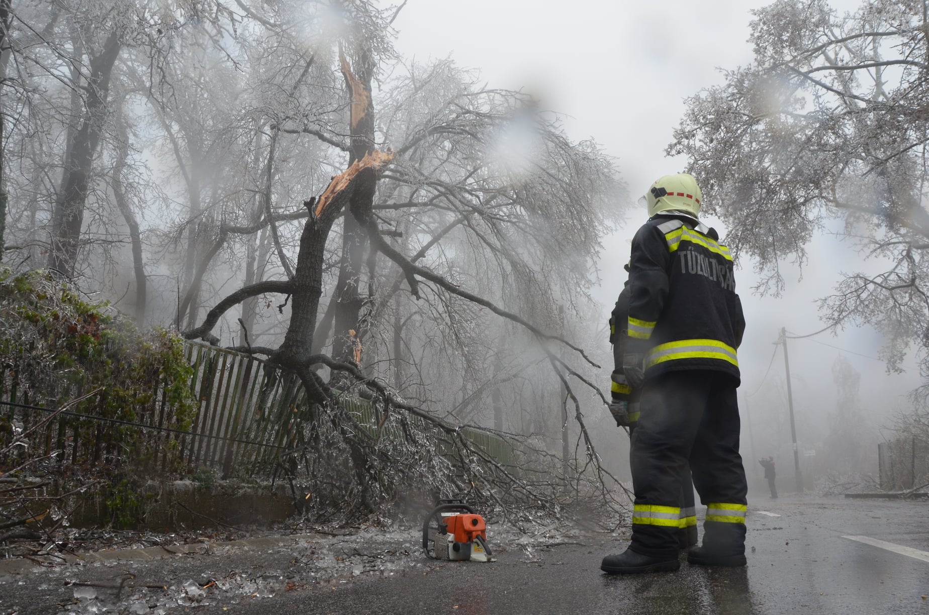 Fákat döntött ki a szél a megyében, Fehérváron nem volt szükség a tűzoltói beavatkozásra