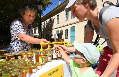 Idén is lesz Fehérvári Mézünnep a Királyi Napokon mézosztással, mézlovagavatással