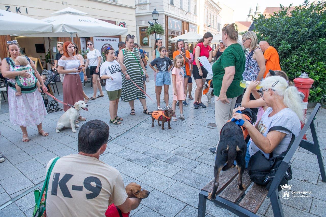 Hontalan állatok napja - kutyafagyi a Damniczki Cukrászdában