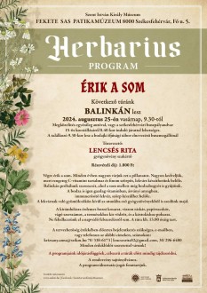 Érik a som – vasárnap Balinkán folytatódik a Herbarius gyógynövénytúra