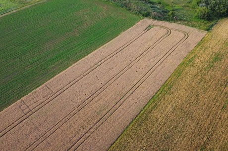 Seuso-kutatás Szabadbattyánban: újabb kőépületek nyomait fedezték fel a régészek