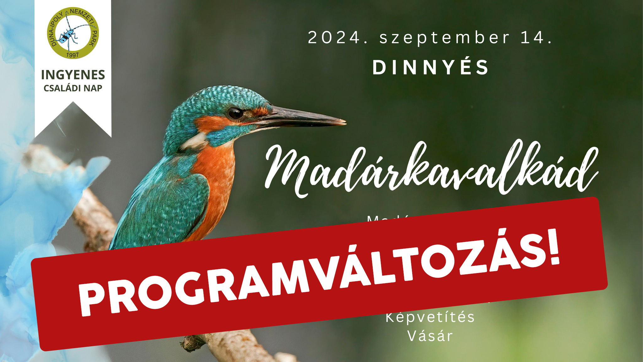 Dinnyési madárkavalkád- rossz idő esetén is megtartják a programot