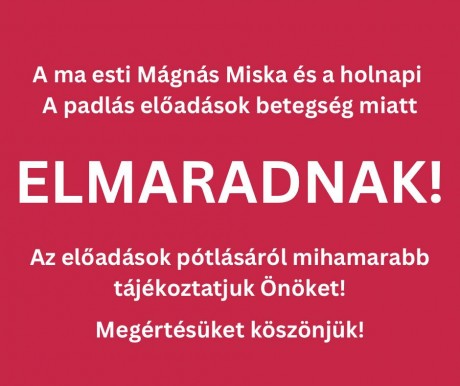 Betegség miatt elmaradnak a hétvégi előadások a Vörösmarty Színházban