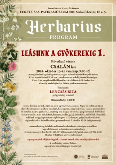 Leásnak a gyökerekig - Csalára vezet a Herbarius túra következő útja