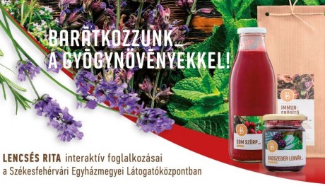 Barátkozzunk a gyógynövényekkel! - kóstolóval egybekötött találkozás